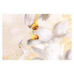 Christian Dior J'adore for Women Eau De Parfum Spray - 150ml - Image 3