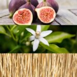 Calvin Klein CK One Gold Eau De Toilette For Unisex 200ml - Image 3