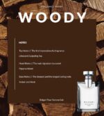 Bvlgari Pour Homme Soir Eau De Toilette 100 ml for Men - Image 2