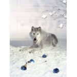 Nina Ricci Luna Eau De Toilette For Women - 80ml - Image 6