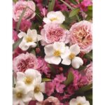 Nina Ricci Mademoiselle Ricci Eau De Perfume For Women - 80ml - Image 5