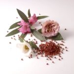 Nina Ricci Mademoiselle Ricci Eau De Perfume For Women - 80ml - Image 6