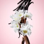 Viktor & Rolf Flowerbomb Eau De Perfume 100ml - Image 4