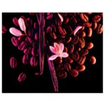 Yves Saint Laurent Black Opium Eau De Perfume For Women 90ml - Image 4