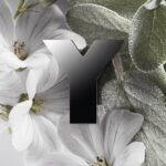 Yves Saint Laurent Y For Men Eau De Perfume 100ml - Image 5