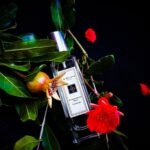 JO MALONE POMEGRANATE NOIR (U) COLOGNE 100 ml