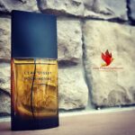 Issey Miyake L'Eau D'Issey Pour Homme Noir Ambre Eau De Perfume - 100ml - Image 5